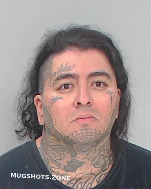 Salazar Moya Gustavo Nueces County Mugshots Zone