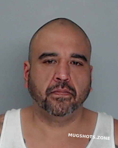 Dominguez Michael Nueces County Mugshots Zone