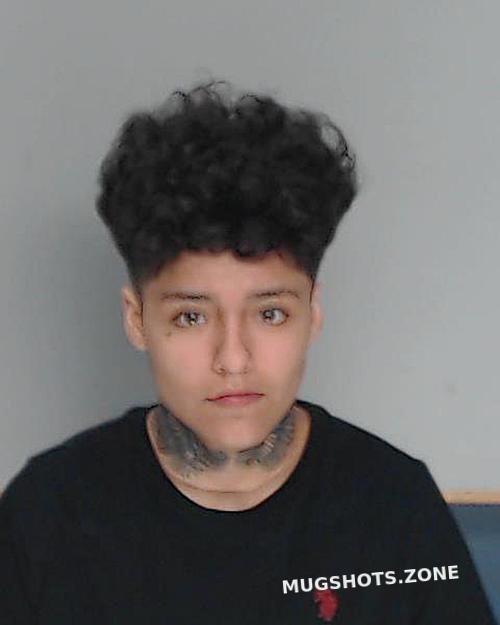 Huape Makayla Nueces County Mugshots Zone