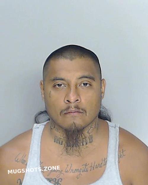 Dejesus Rafael Eric Nueces County Mugshots Zone