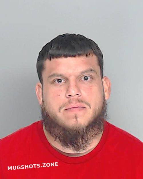 Coronel Santiago Nueces County Mugshots Zone