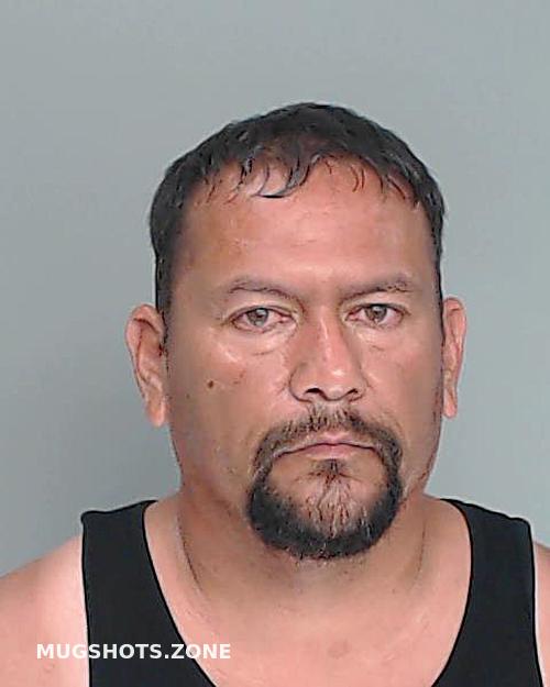 Castillo Daniel Nueces County Mugshots Zone