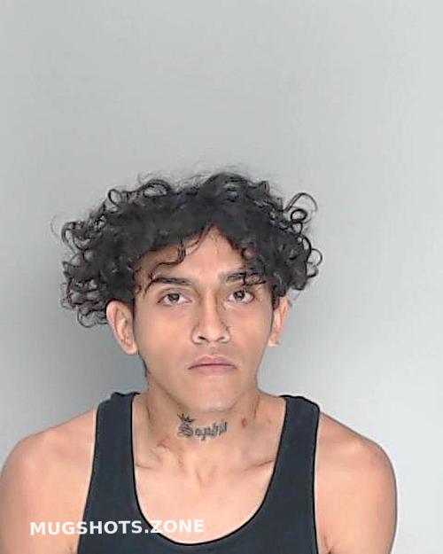 Feregrino Rudy Nueces County Mugshots Zone