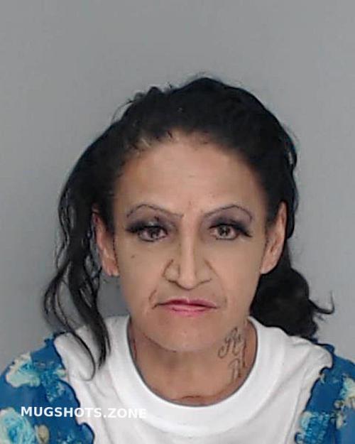 Sanchez Irene Guartuche Nueces County Mugshots Zone