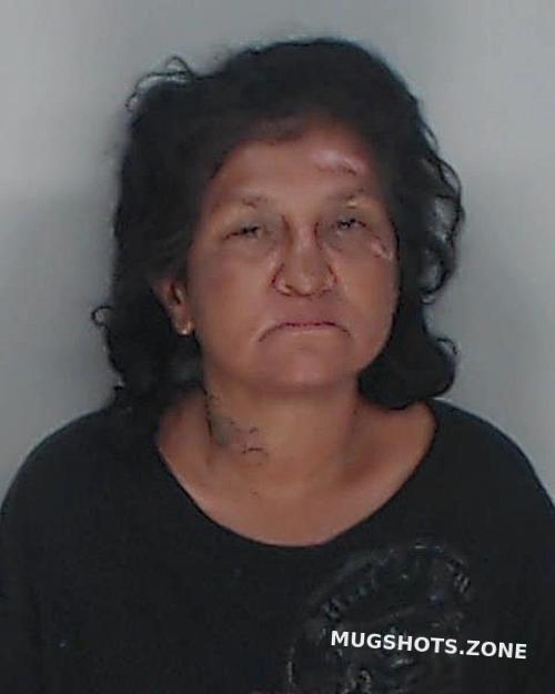 Ramirez Maria Antonia Nueces County Mugshots Zone