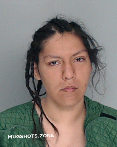 Rodriguez Diana Nueces County Mugshots Zone