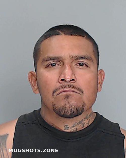 Guardiola Julian Nueces County Mugshots Zone