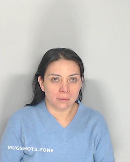 Hill Camila Nueces County Mugshots Zone