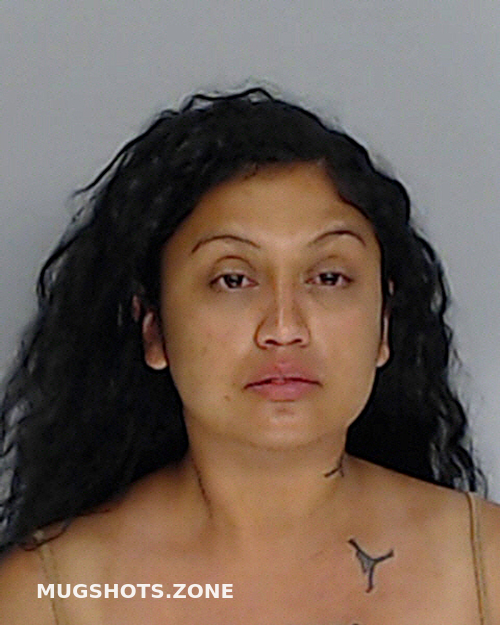 Castillo Rachel Nueces County Mugshots Zone