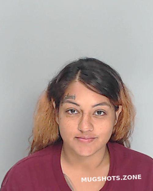 Salinas Amber Nueces County Mugshots Zone