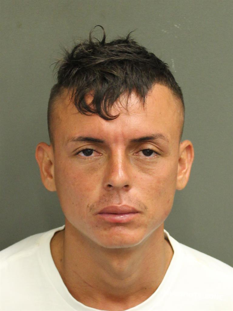 Sosamejia Luis O Orange County Mugshots Zone