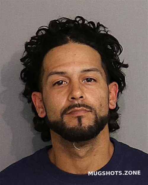 Raul Navarro Osceola County Mugshots Zone