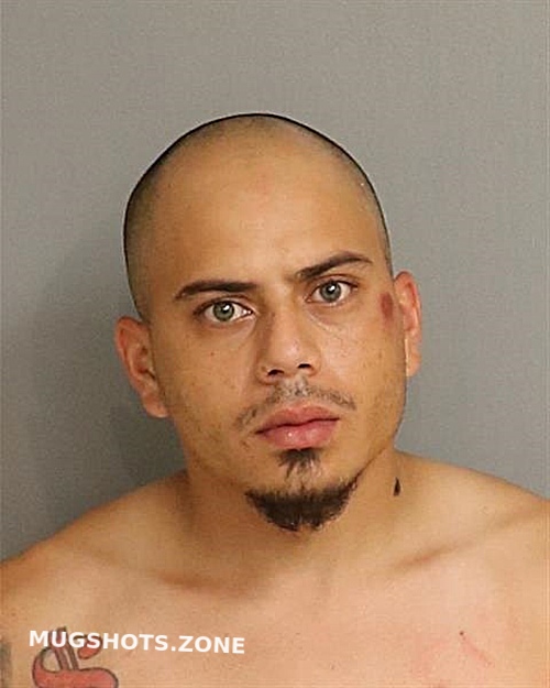 Reyes Luis Osceola County Mugshots Zone