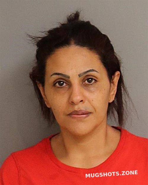 Orgena Abdelsayed Osceola County Mugshots Zone