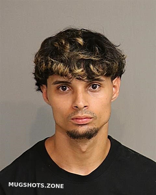 Sarraga Santiago Jose Osceola County Mugshots Zone