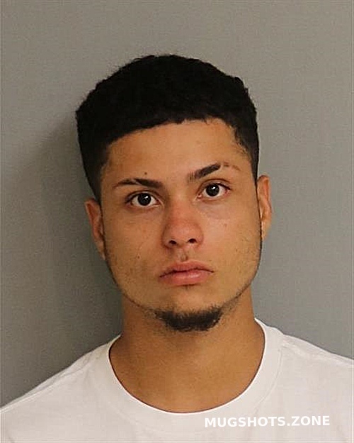 Sanchez Martin Osceola County Mugshots Zone