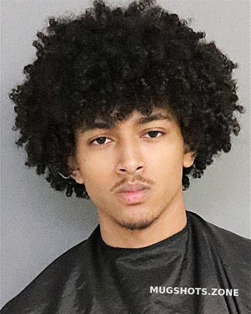 Drhourhi Mohamed Osceola County Mugshots Zone