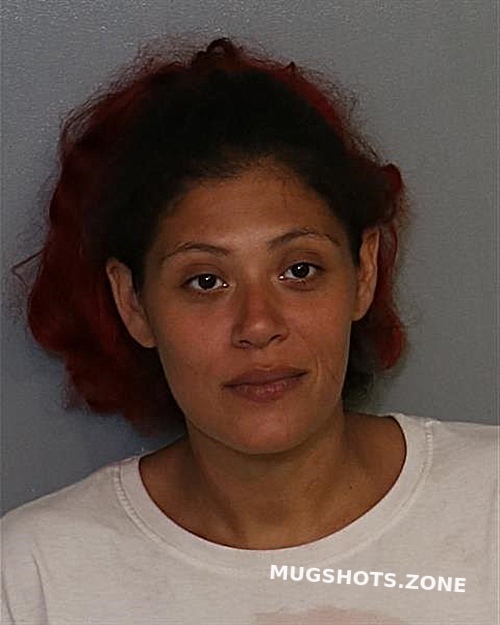 Rivera Carmen Osceola County Mugshots Zone