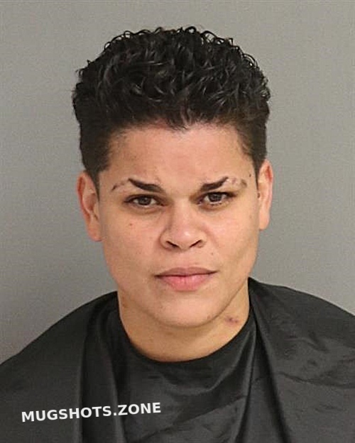 Karla Stephanie Castillo Osceola County Mugshots Zone