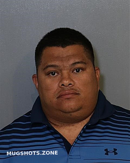 Suarez Jorge Osceola County Mugshots Zone