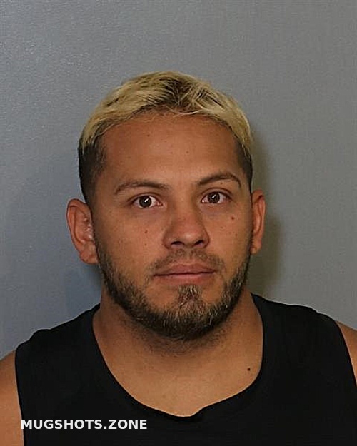 Perez Pina Alejandro Osceola County Mugshots Zone