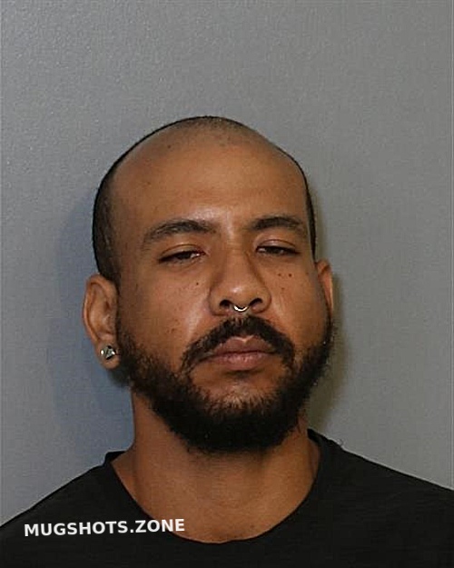 Franco Gabriel Osceola County Mugshots Zone