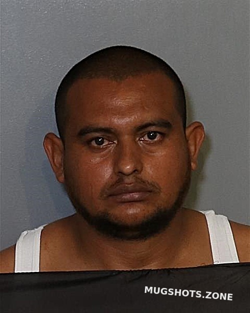 Ballesteros Solano Douglas Osceola County Mugshots Zone