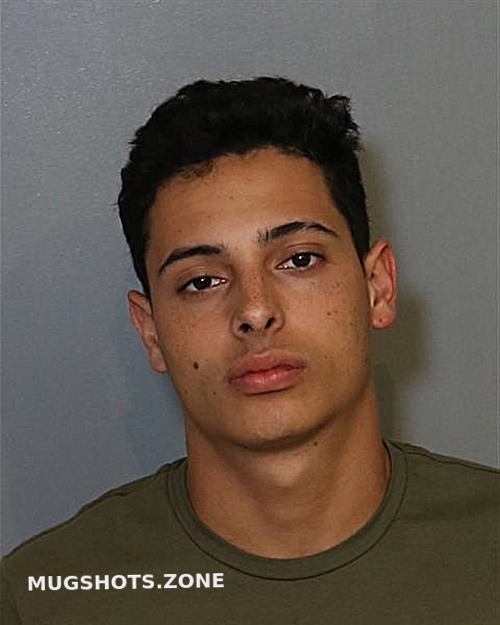 Davila Gonzalez Alejandro Osceola County Mugshots Zone