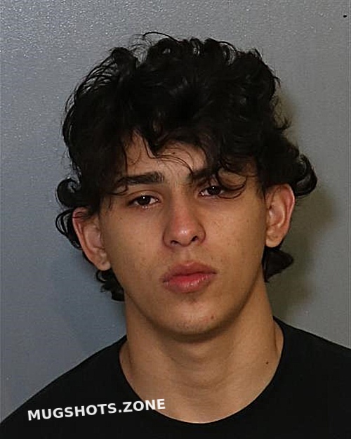 Juan David Pena Mendez Osceola County Mugshots Zone