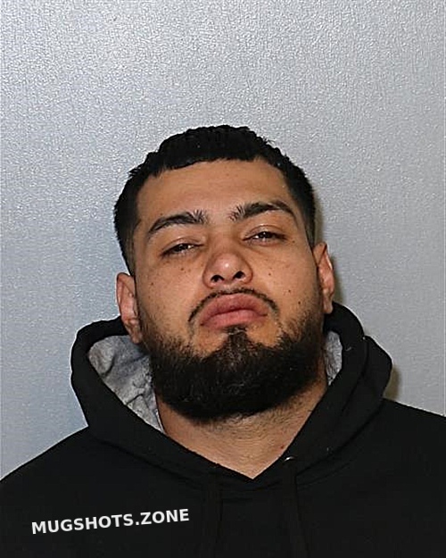 Fernando Cabrera Vargas Osceola County Mugshots Zone