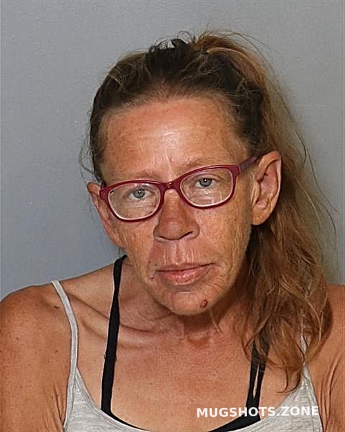 Diane Grimes Osceola County Mugshots Zone