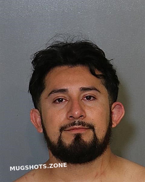 Ricardo Zaldana Portillo Osceola County Mugshots Zone