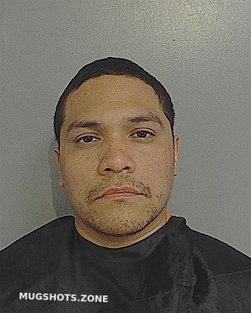 Oscar Javier Zaldana Osceola County Mugshots Zone