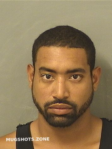 HENRIQUEZ CRISTIAN JAVIER 04 16 2021 Palm Beach County Mugshots Zone