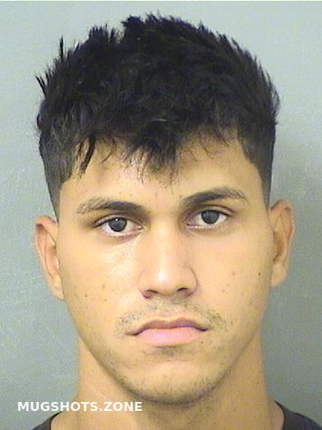 GONZALEZ LUIS ENRIQUE 05 19 2021 Palm Beach County Mugshots Zone