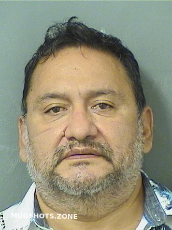 Maldonado Alejandro Zepeda Palm Beach County Mugshots Zone