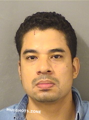 Santosbarahona Carlo Roman Palm Beach County Mugshots Zone