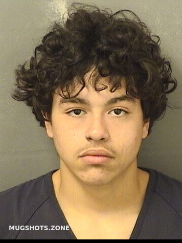 Dejesus German Issiah Palm Beach County Mugshots Zone