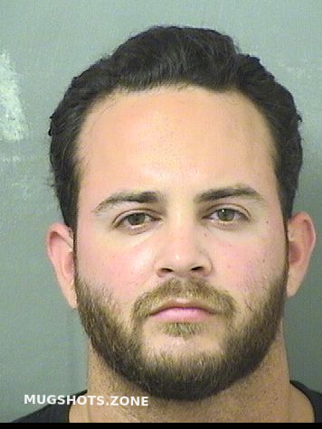 Arboleda Angelo David Palm Beach County Mugshots Zone