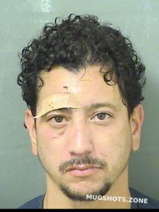 Echeverry Edwin Palm Beach County Mugshots Zone