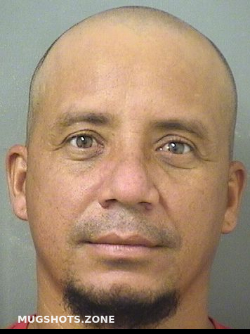 Padilla Angel Palm Beach County Mugshots Zone