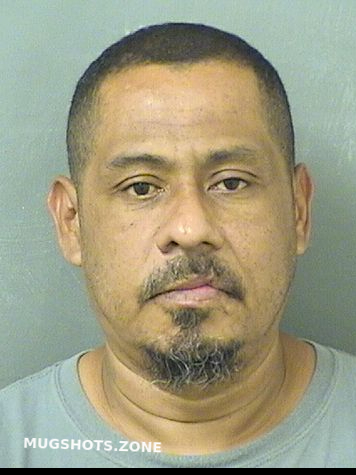 Hernandez Cesar Oswaldo Palm Beach County Mugshots Zone