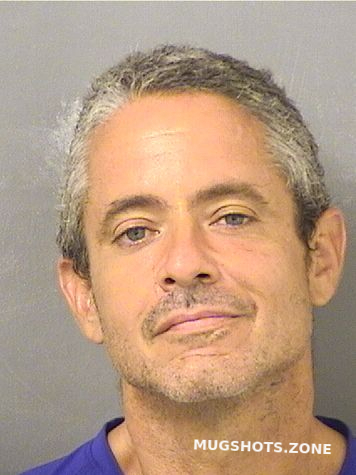 Gonzalez Gabriel Palm Beach County Mugshots Zone