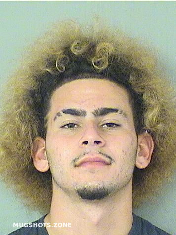 Matias Roel Bito Palm Beach County Mugshots Zone