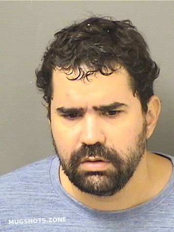 Paganvidal Sergio Palm Beach County Mugshots Zone