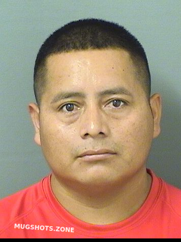 Pacheco Francisco Gregorio Palm Beach County Mugshots Zone