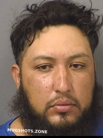 Correa Rigoberto Palm Beach County Mugshots Zone