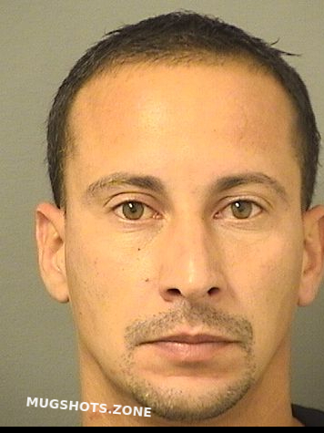 Munoznoriega Edwin Palm Beach County Mugshots Zone