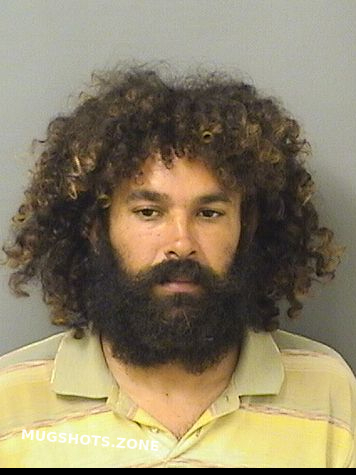 Martin Arian Palm Beach County Mugshots Zone