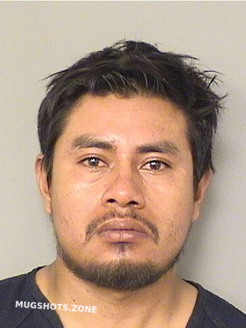 Tehuintleramirez Sergio Palm Beach County Mugshots Zone